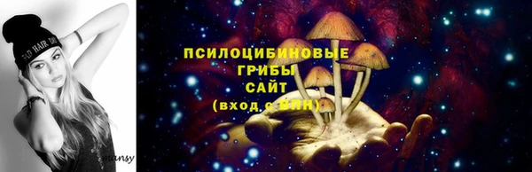 ECSTASY Алексин