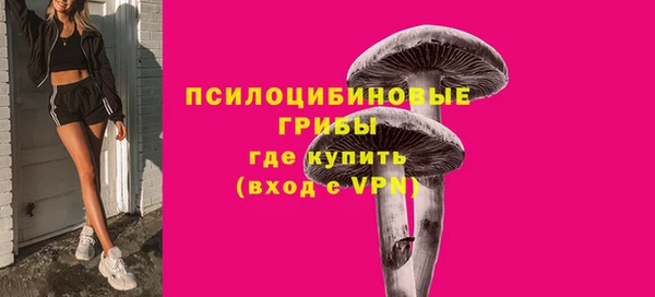 ECSTASY Алексин