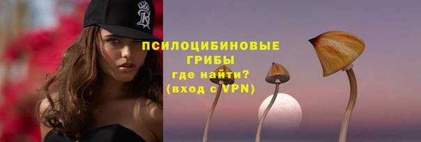 ECSTASY Алексин